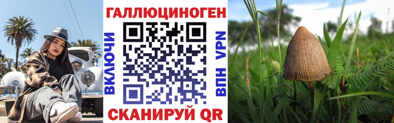 Псилоцибиновые грибы мицелий  Тюмень 